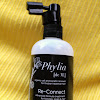Phyllia Connect, Reconnect & Update