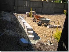 IMG_2171 IMG_2171