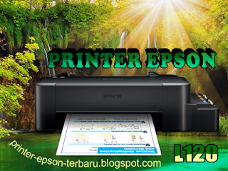 Printer Epson l120 Service Required