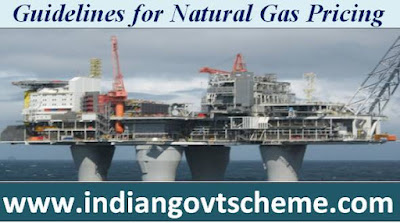 guidelines_for_natural_gas_pricing