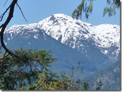 P1050267