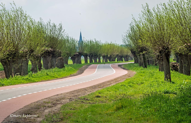 www.jetjesdag.nl | Mari Kapteijns fotografie | Maasgebied omgeving Ravenstein |