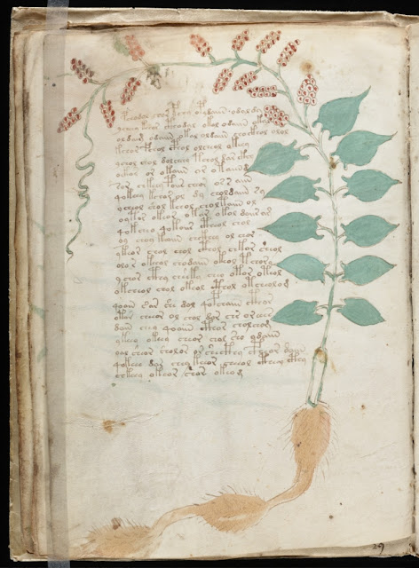 Voynich Manuscript