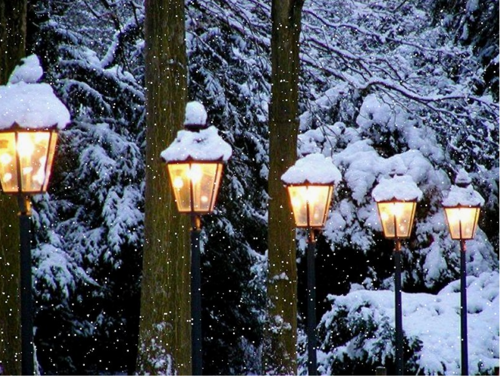 Snow Lanterns, Vienna, Austria