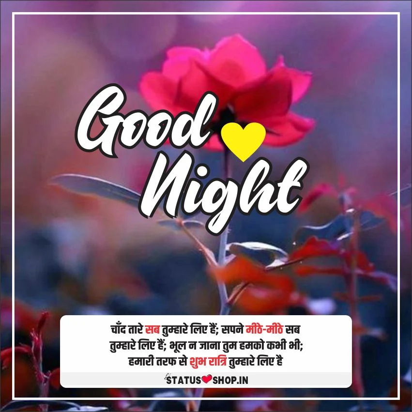 Good-Night-Photo-Shayari