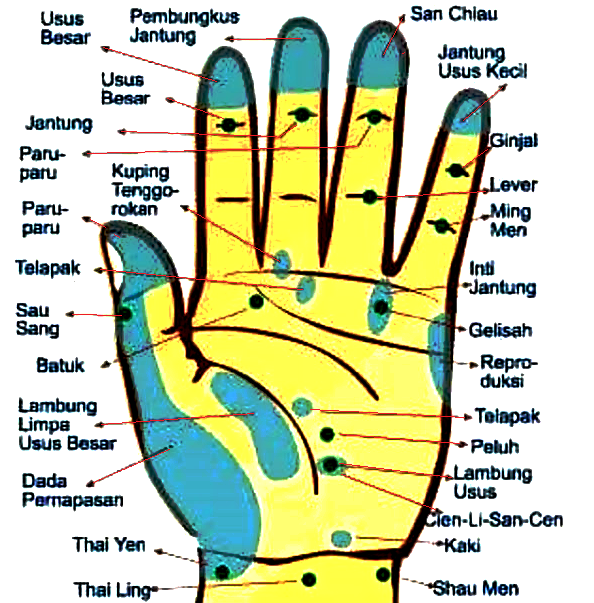 Titik Pijat Untuk Batuk Dan Pilek - Pijat Gan