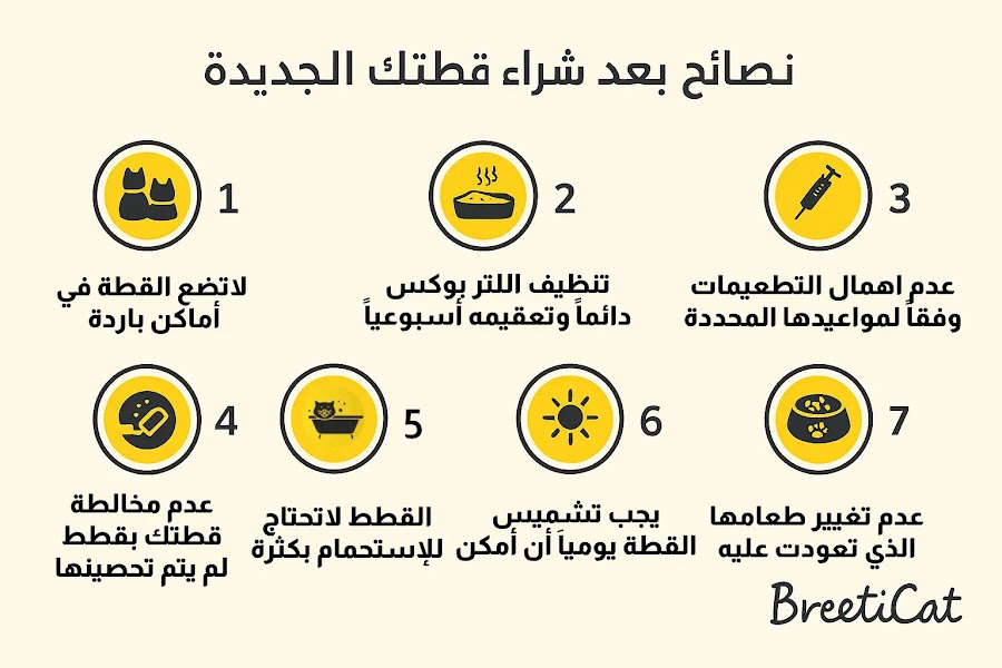نصائح بعد شراء قطتك الجديدة