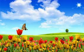funny desktop background