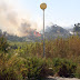 Estepona Wild Fires rage on a 2km front