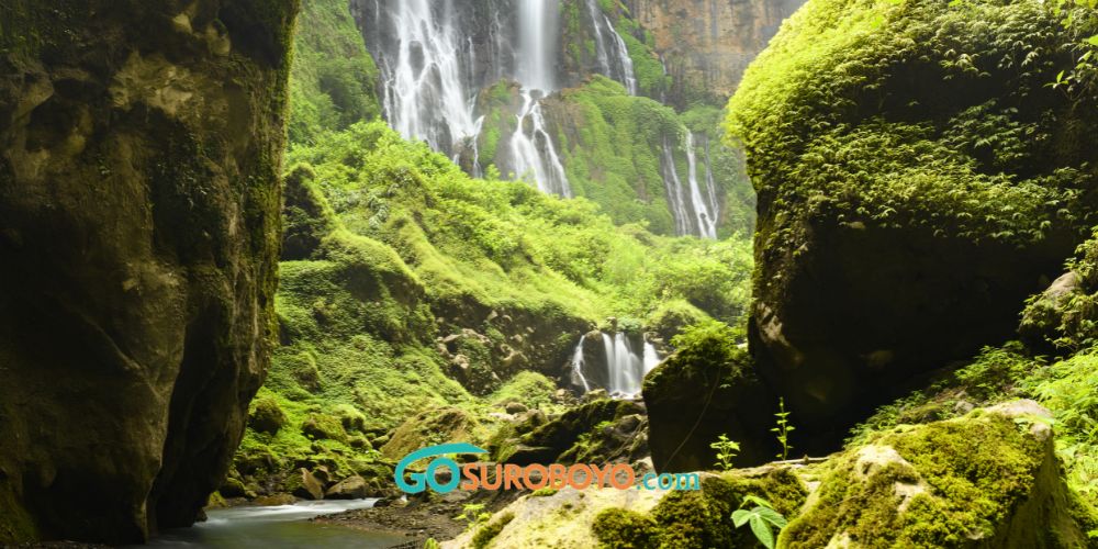 tips penting menuju air terjun tumpak sewu