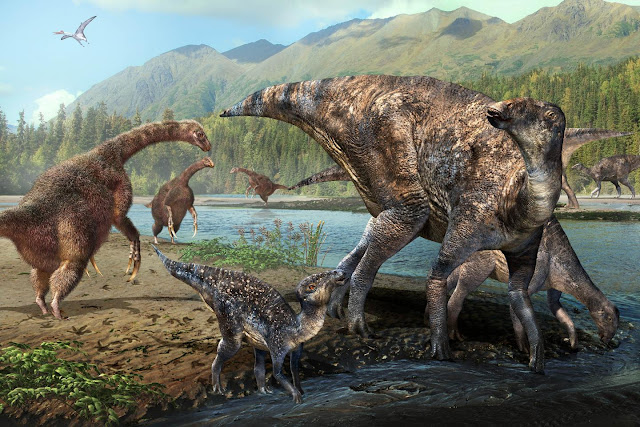  An international squad of paleontologists together with other geoscientists has discovered the start For You Information - First North American co-occurrence of Hadrosaur together with Therizinosaur tracks found inwards Alaska