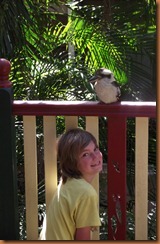Magnetic Island 2011-07-28 005