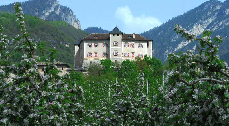 Schermata 2014 04 08 alle 18 59 44