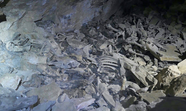 Phát hiện 100 bộ xương người trong cụm hang động cao 5.000 m