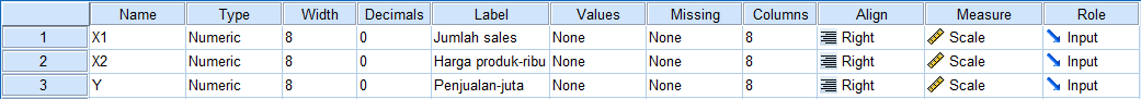 Tampilan Variable View SPSS