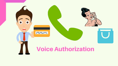 Credit Cards Domain: How Voice Transaction Works