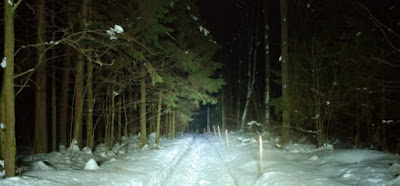 Лайтбар освещает лесную дорогу
