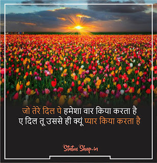 romantic shero shayari