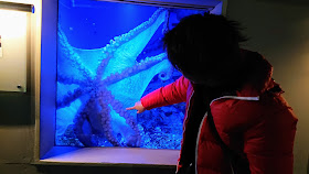 北海道 登別マリンパークニクス