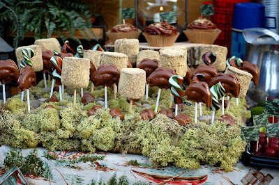 cute camping party ideas
 on know those giant smores pops were a huge hit with the boys!