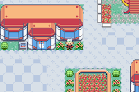 Pokemon Magic Emerald Screenshot 05