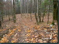 DSCN1995