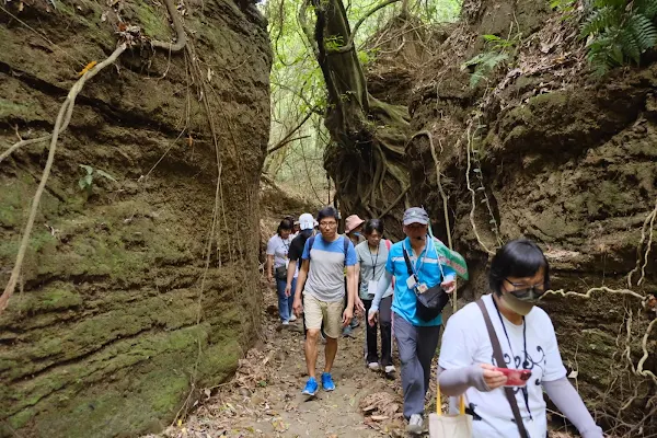 ▲桃源保安林小旅行首發團在社區志工帶領下走讀保安林秘境一線天。（記者林明佑翻攝）