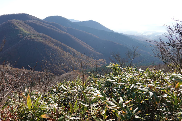 岡山県真庭市蒜山上福田 擬宝珠山頂からの眺望