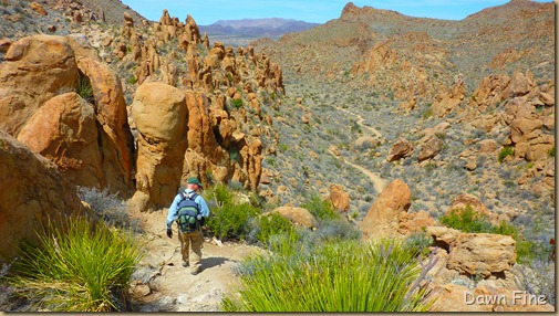 Grapevine to Balanced rock_065