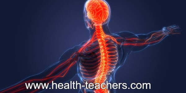 Simple treatment of paralysis by operation - Health-Teachers