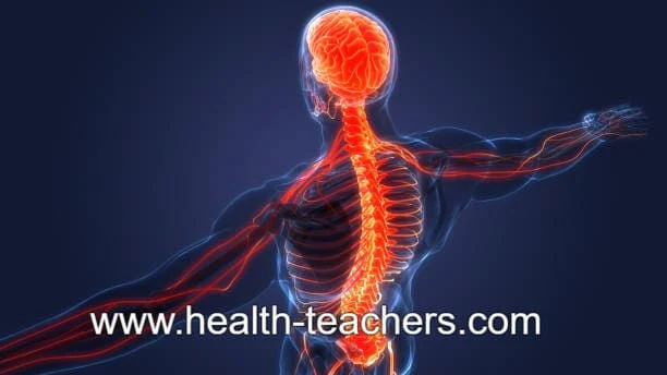 Simple treatment of paralysis by operation - Health-Teachers