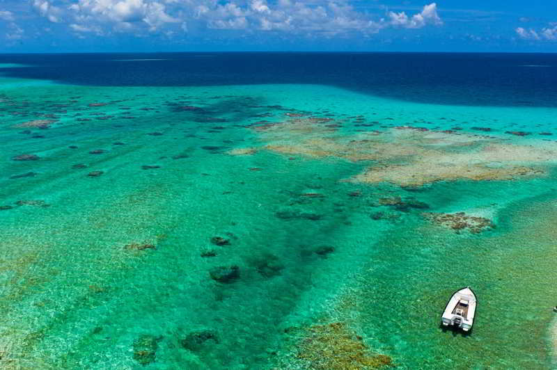 Paraíso Polinesia