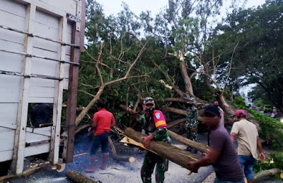 Personil TNI Polri dan Damkar Aceh Besar Sigap Bersihkan Batang Pohon Tumbang Menutupi Badan Jalan