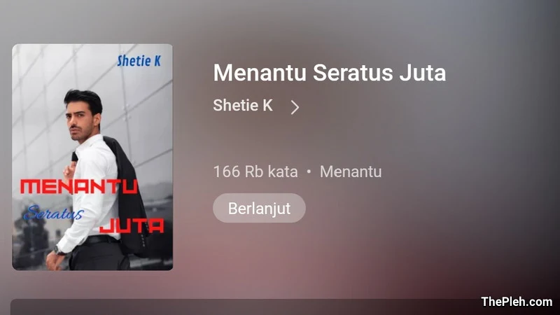 Novel Menantu Seratus Juta Full Bab