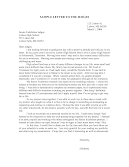 Character Letter To Judge Example