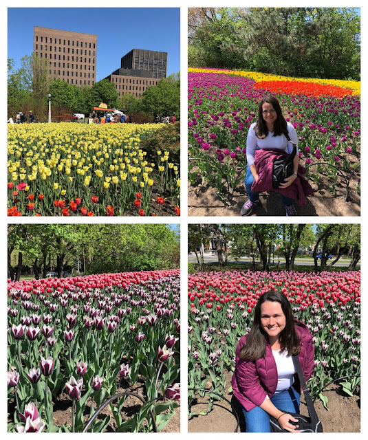 Festival de Tulipas em Ottawa (Canadá)!