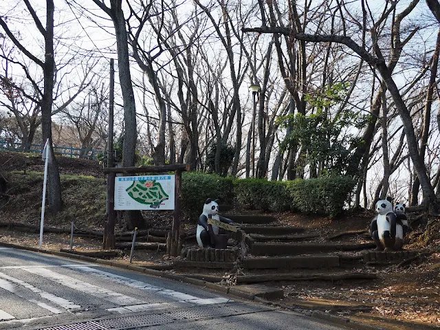 高麗山公園　子供の森