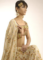 http://www.renudadlani.com/images/chikankari-big-4.jpg