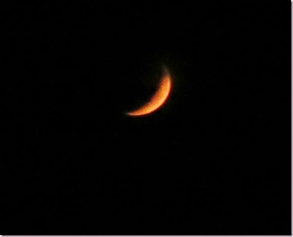 moonIMG_8018