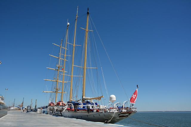 Royal Clipper