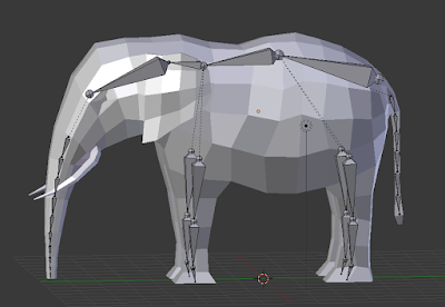 Bone structure of an elephant