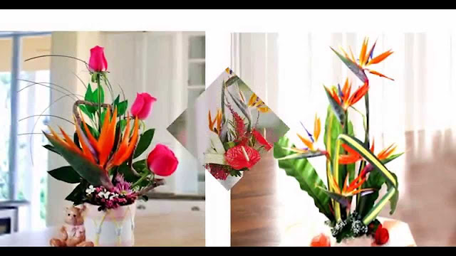 Birds Of Paradise Bouquet