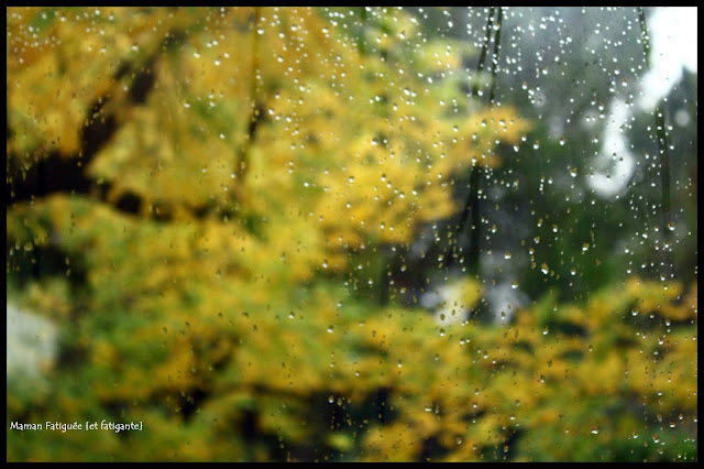 pluie automne vitre