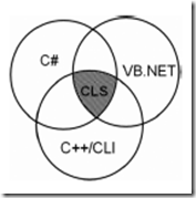 The common language specification