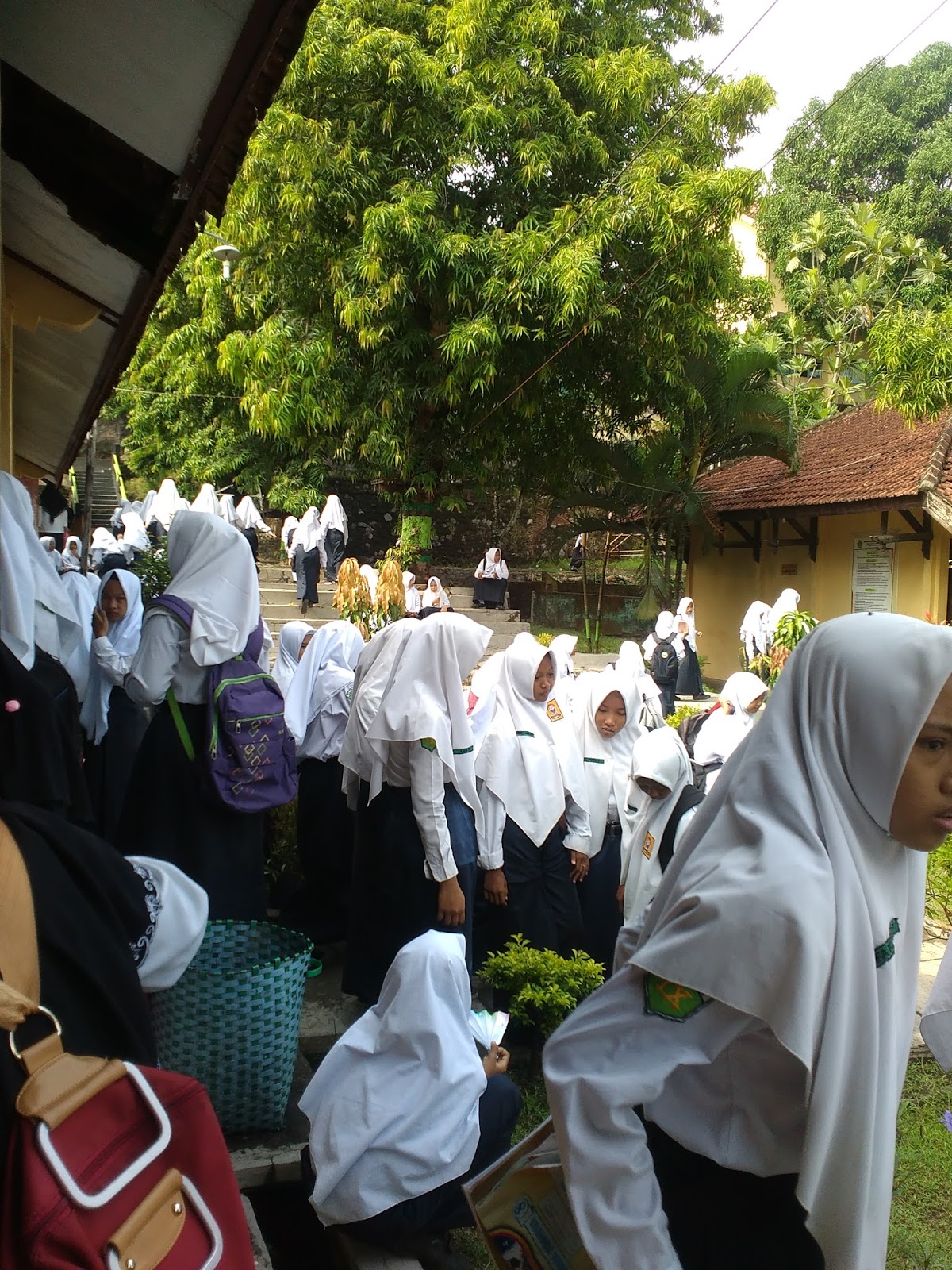 Naskah Soal UN Bahasa Indonesia SMP/MTs Asli Tahun 2014 Live Preview