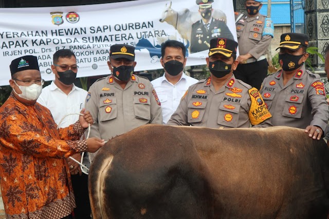 Kapolda Sumut Melalui Kapolres Batu Bara Serahkan Hewan Sapi Qurban Kepada Pesantren Guntur