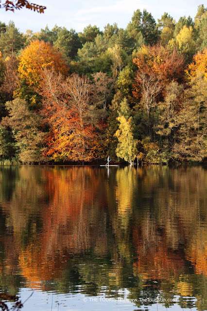 A person on a stand up paddle on a still body of water surrounded by thick forest in brightly coloured autumn foliage, all reflected in the water.