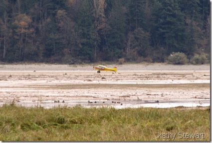 Private Plane on the flats