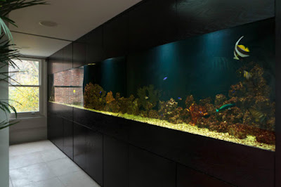 Model aquarium unik