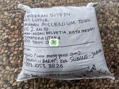 Benih Padi Pesanan  RICKY ANDREAN Medan, Sumut.  Benih Sesudah di Packing